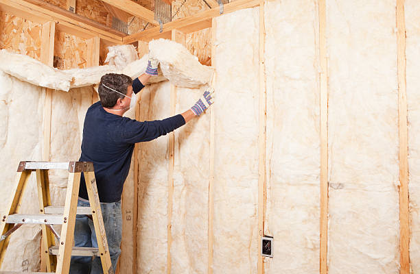 Best Eco-Friendly or Green Insulation Solutions in Mount Kisco, NY